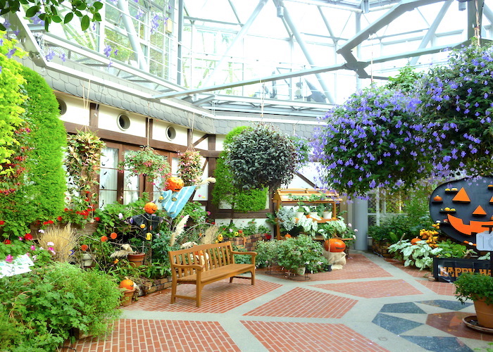 Kobe Travel Guide Nunobiki Herb Gardens and Ropeway glasshouse interior