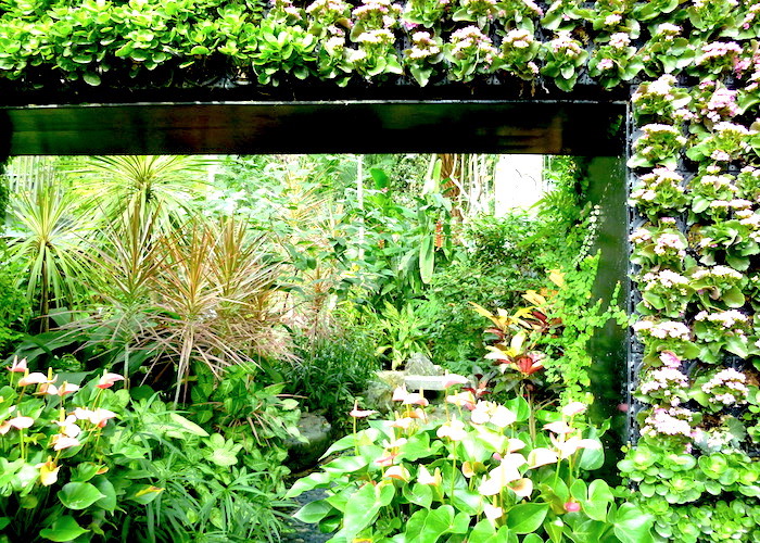 Kobe Travel Guide Nunobiki Herb Gardens and Ropeway greenery