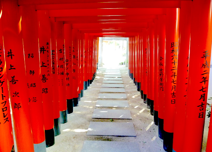 Fukuoka Travel Guide What to do in Fukuoka Japan Kushida Shrine Torii Gate walkway