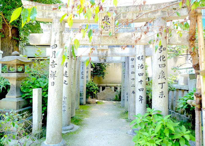 Fukuoka Travel Guide What to do in Fukuoka Japan Kushida Shrine garden sites