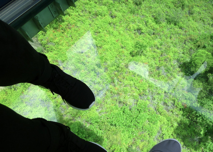 Hong Kong Travel Guide What to do in Hong Kong The Giant Buddha glass floor cable car
