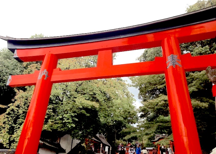 Kyoto Travel Guide What to do in Kyoto Japan Fushimi Inari Shrine Torii Gate