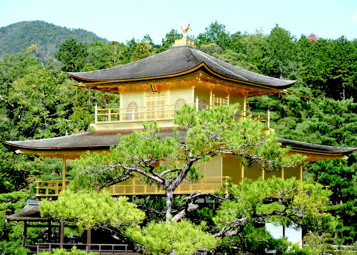 Kyoto Travel Guide What to do in Kyoto Japan Golden Pavilion