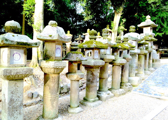 Osaka Travel Guide: What to do in Osaka, Japan Kasuga Taisha Shrine lantern path Nara