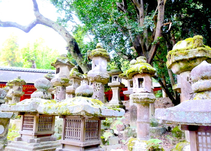 Osaka Travel Guide: What to do in Osaka, Japan Kasuga Taisha Shrine lanterns Nara
