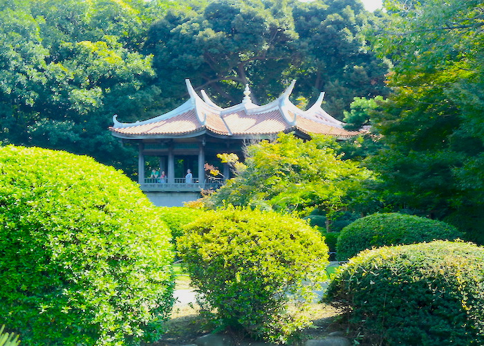 Tokyo Travel Guide What to do in Tokyo Japan Shinjuku Gyoen National Garden