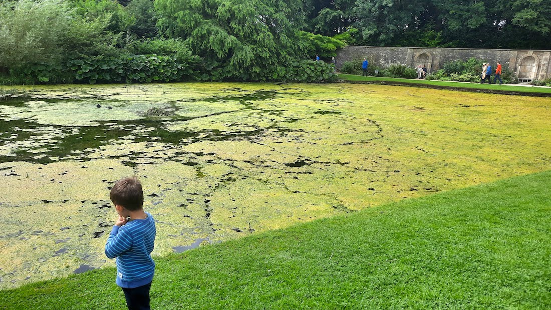 A day out at Dyrham Park National Trust giant pond