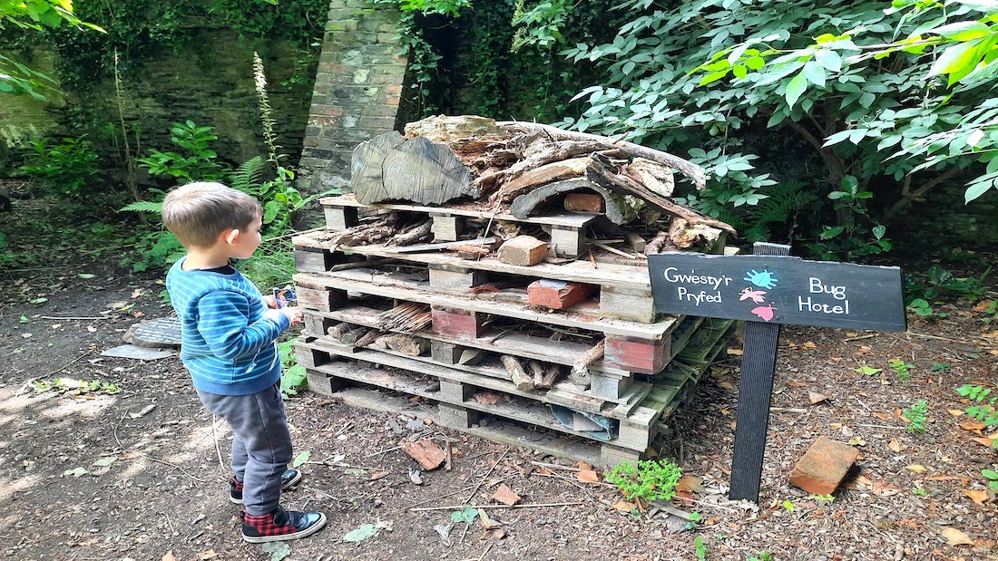 A day out at Tredegar House National Trust The Orchard Garden hidden bug hotel