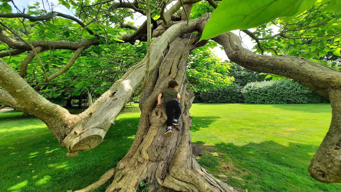 A day out at Wimpole Estate National Trust gardens for kids
