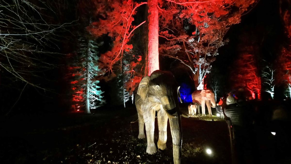 A night out at Christmas at Waddesdon Elephants