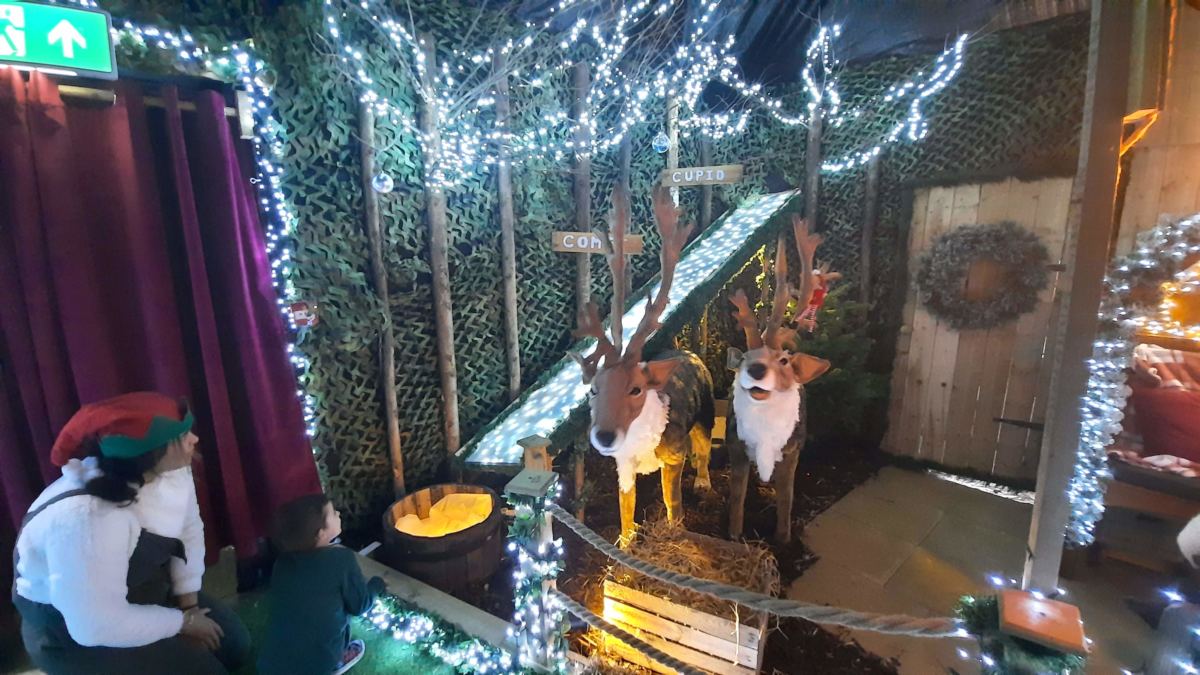A visit to Santa’s Grotto at Smith’s Garden Centre reindeer