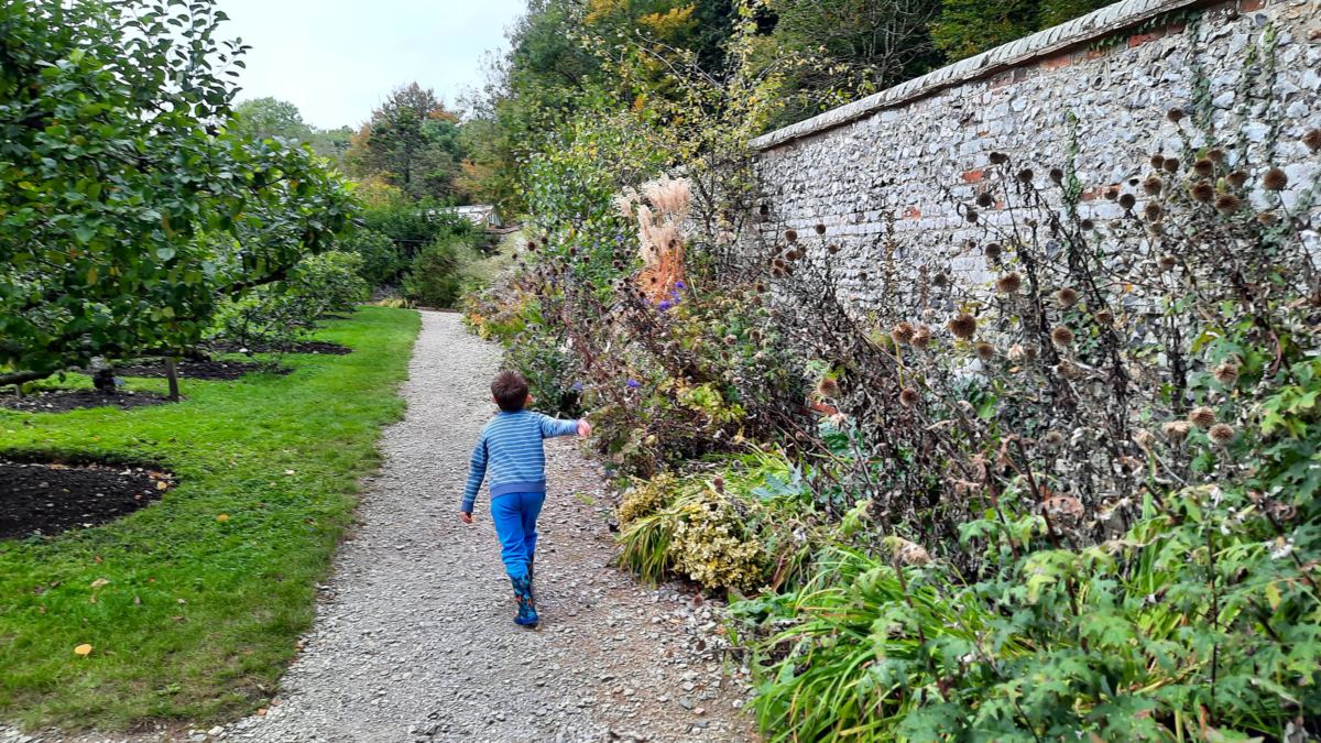 A day out at Hughenden, National Trust Walled Garden growth