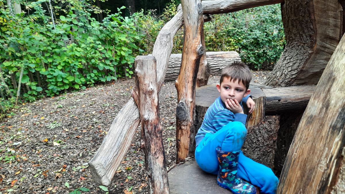 A day out at Hughenden, National Trust Woodland Play Area