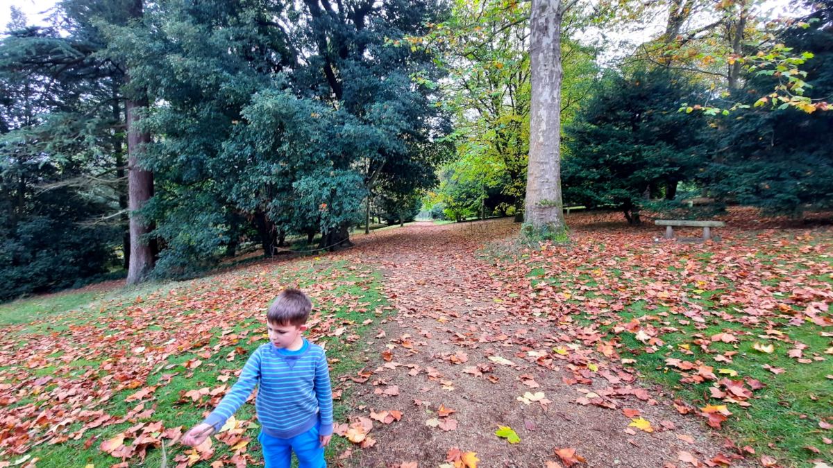 A day out at Hughenden, National Trust things to do