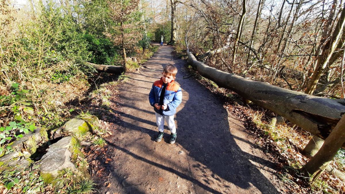 A day out at The Vyne, National Trust woodland trails
