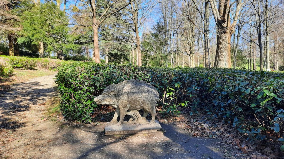A day out at Claremont Landscape Garden boar