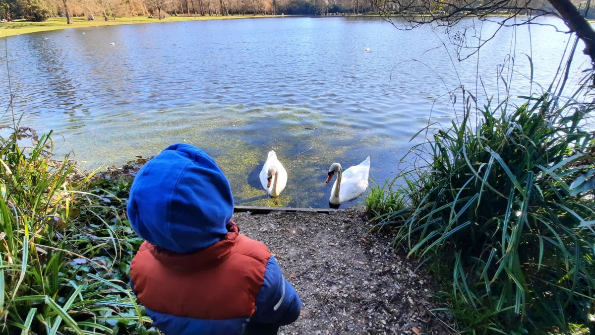 A day out at Claremont Landscape Garden lake