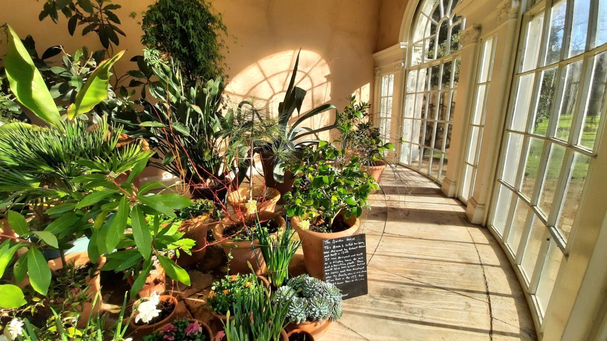 Osterley Park and House, National Trust summer house plants