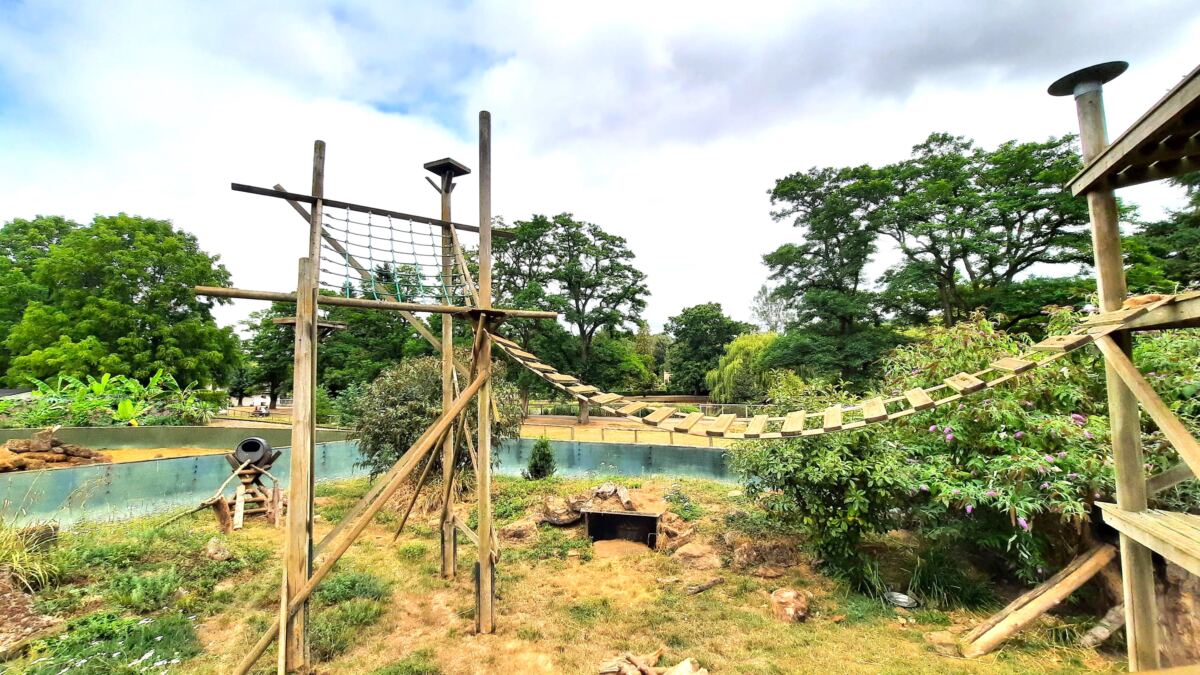 Beale Wildlife Park Review big cats