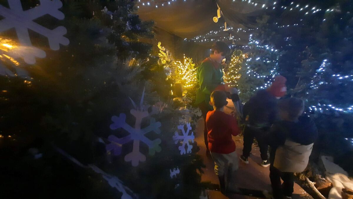 A visit to Santa’s Grotto at Dobbies Garden Centre waiting for Santa