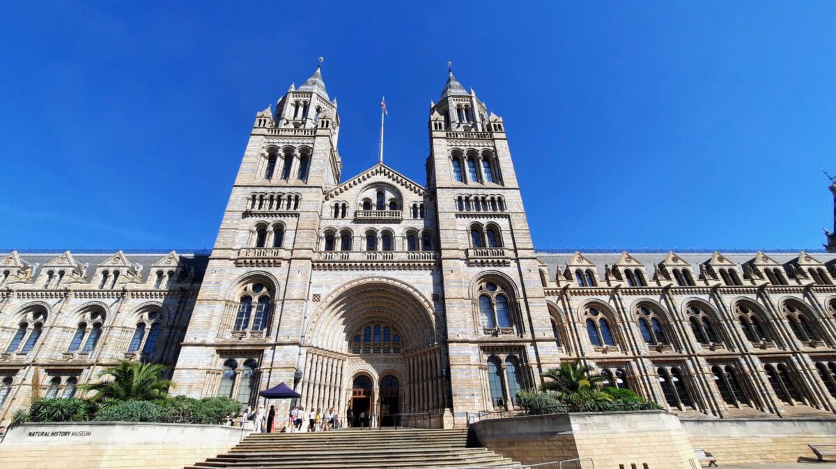 Natural History Museum Review London