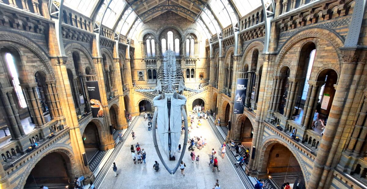 natural history museum london