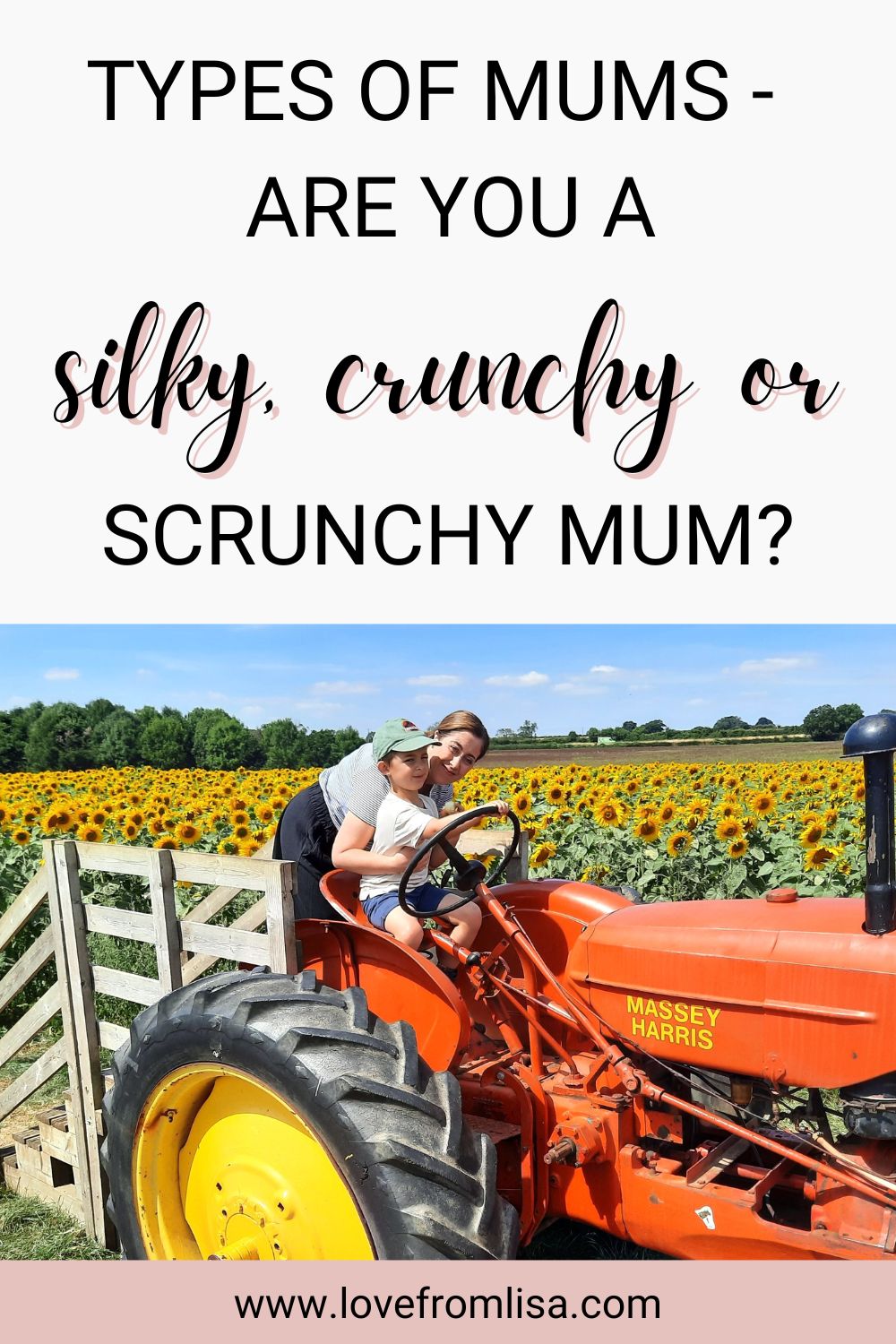 Types of mums, what is a silky, crunchy or scrunchy mum?