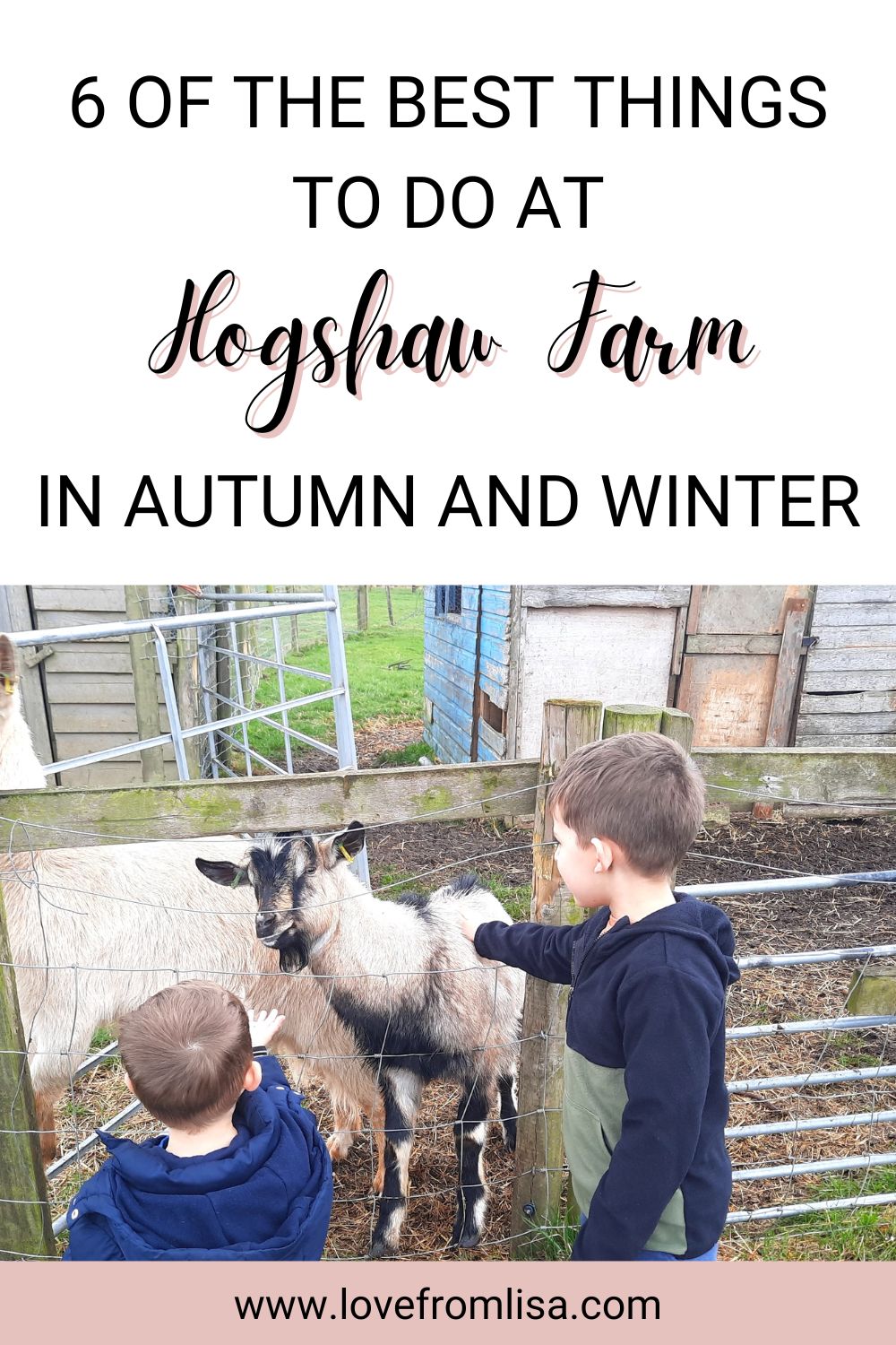 6 of the best things to do at Hogshaw Farm in autumn and winter reindeers