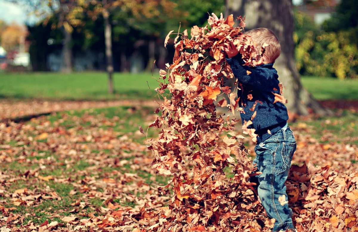 5 toddler myths that you shouldn’t believe toddler playing with leaves