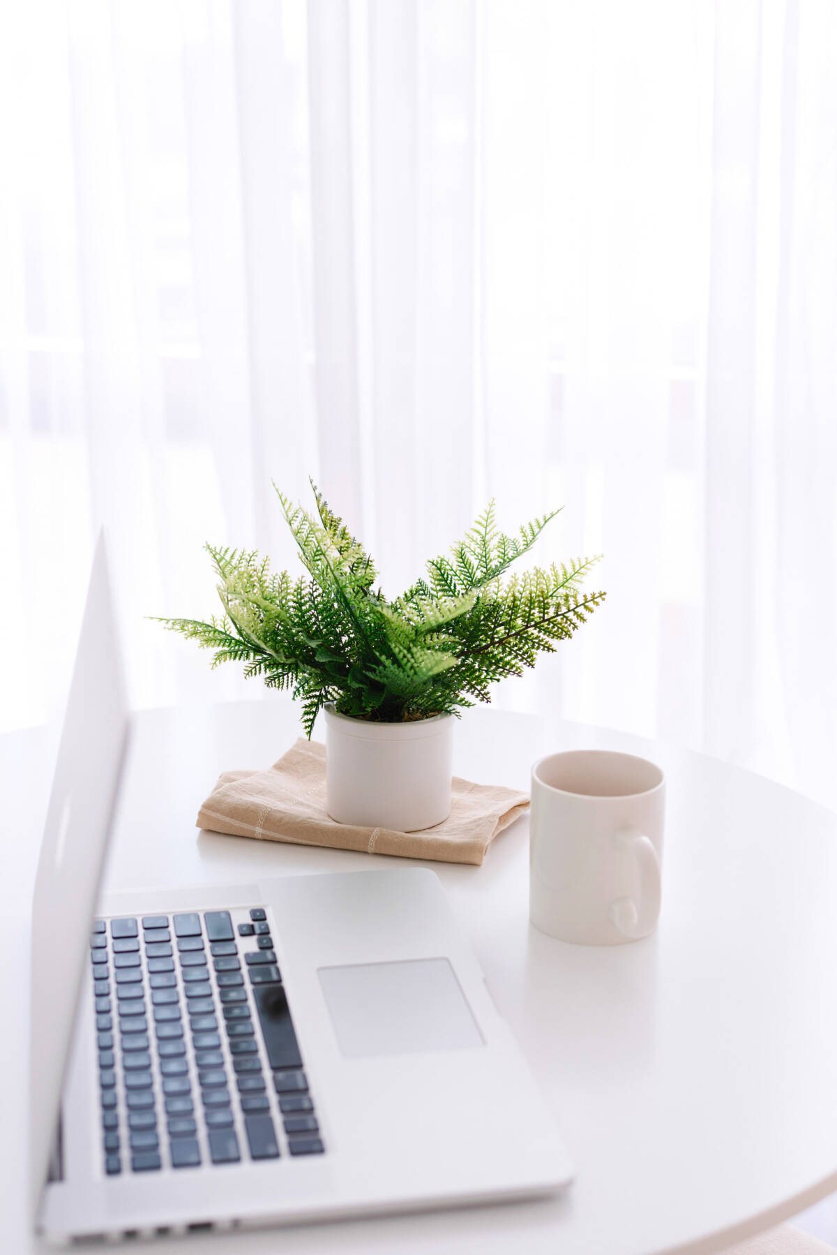 Love from Lisa parenting and lifestyle blog - desk with plant and coffee mug.