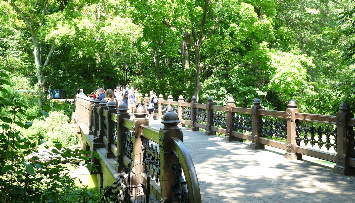 A weekend in New York - Central Park bridge with trees surrounding it.