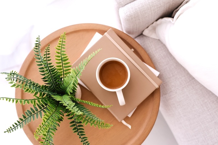 Coffee table with plant, 2 notebooks, coffee, in front of a couch - some supplies you need to become an organised mum.