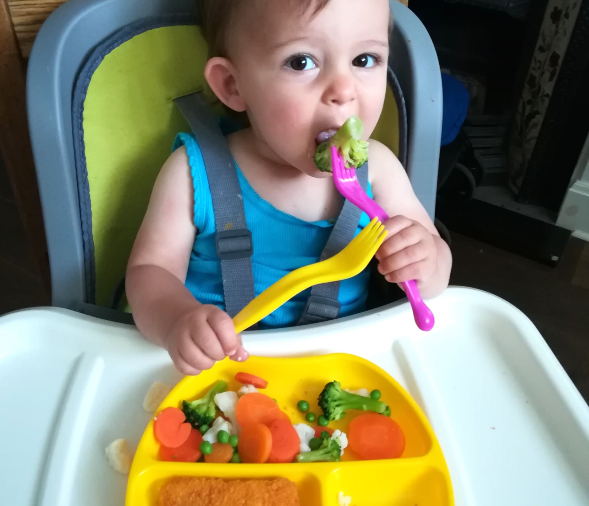 Baby Led Weaning (BLW) first food ideas