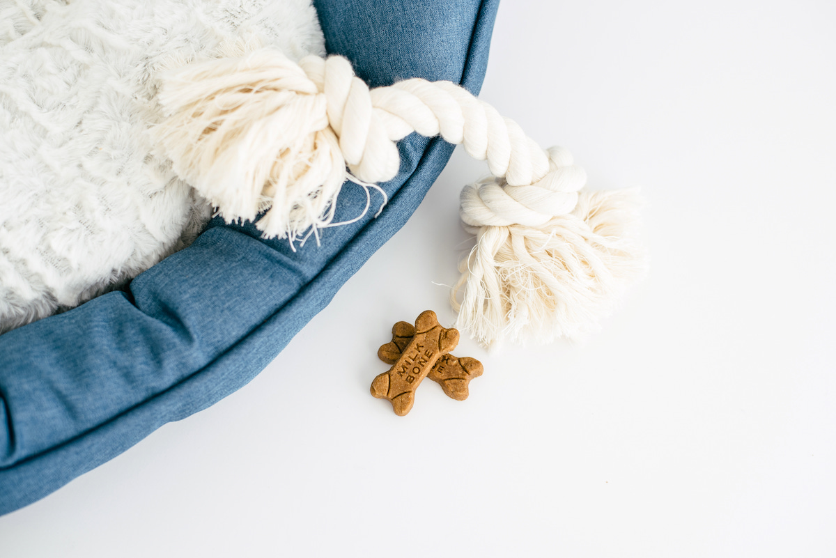 How pets teach kids responsibility - dog bed, toy, and food.