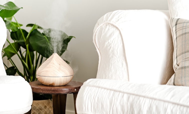 White couch, diffuser, plant - an eco-friendly family room.